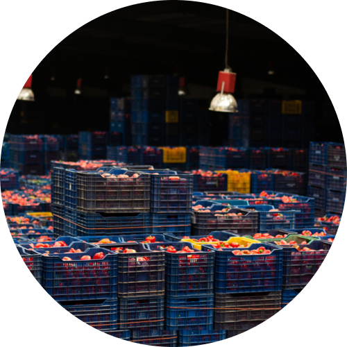 Food and Confectionery